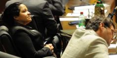 Foto de la galería: En una larga jornada, la Legislatura cerró su ciclo 2014