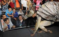 Foto de la galería: Landriscina, el Mensú de Oro