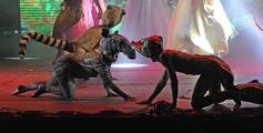 Foto de la galería: Landriscina, el Mensú de Oro