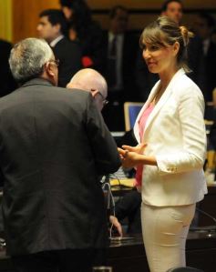 Foto de la galería: Con el 82,5% de los votos, Rovira fue reelecto presidente del Parlamento Misionero