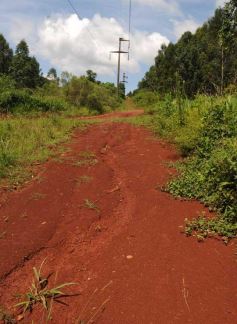 Foto de la galería: De viaje por las obras eléctricas que lleva adelante la Provincia