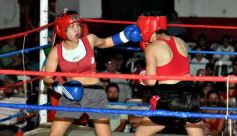 Foto de la galería: Las mujeres dieron cátedra en el cuadrilátero