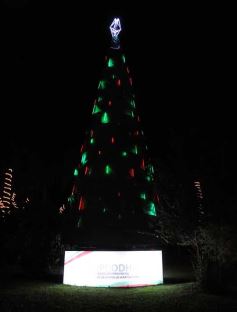 Foto de la galería: Los adornos navideños en Posadas, un deleite para los locales y también para los turistas