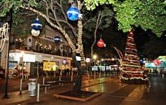 Foto de la galería: Los adornos navideños en Posadas, un deleite para los locales y también para los turistas