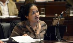 Sixto Fotografías. Sociedad. Cámara de Diputados - Aprobaron el certificado de “libre deuda alimentaria”