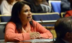 Sixto Fotografías. Sociedad. Cámara de Diputados - Diputados instituye el Día del Combate de Mbororé