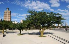 Foto de la galería: Bienvenido 2015!!!!