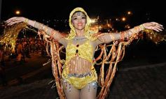 Foto de la galería: La comparsa del barrio Yacyretá ganó los carnavales posadeños