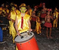 Foto de la galería: La comparsa del barrio Yacyretá ganó los carnavales posadeños