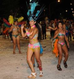 Foto de la galería: Carnavales 2015: San Ignacio recibió a los mejores de la provincia