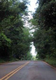 Foto de la galería: Actividad a pleno en Posadas y postales de nuestro interior