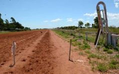 Foto de la galería: Electrizante empate entre Agrimensores y Escribanos