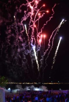 Foto de la galería: Lanzan a la venta el exitoso proyecto inmobiliario Villa Ángela