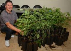 Foto de la galería: Presentaron proyecto de estación experimental de Moringa en la Legislatura