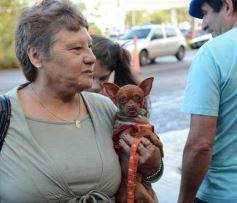 Foto de la galería: Fátima convocó a miles de sus hijos en la tradicional peregrinación