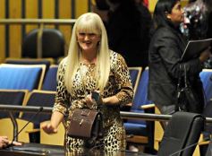 Foto de la galería: Tomó estado parlamentario el proyecto de actualización del Estatuto Docente