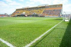 Foto de la galería: El Colectivero se despertó y lo liquidó al Santo