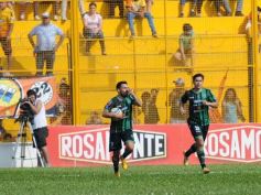 Foto de la galería: El Colectivero se despertó y lo liquidó al Santo