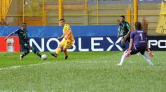 Foto de la galería: El Colectivero se despertó y lo liquidó al Santo