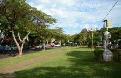 Foto de la galería: Caminando Posadas de punta a punta