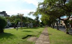 Foto de la galería: Caminando Posadas de punta a punta