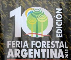 Foto de la galería: Lanzaron la décima edición de la Feria Forestal