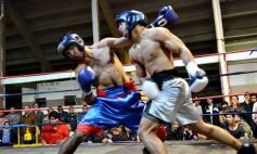 Foto de la galería: Velada de box en el Guaraní: grandes combates