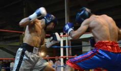 Foto de la galería: Velada de box en el Guaraní: grandes combates
