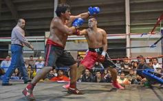 Foto de la galería: Velada de box en el Guaraní: grandes combates