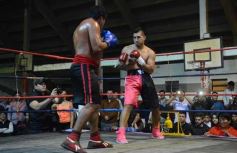 Foto de la galería: Velada de box en el Guaraní: grandes combates