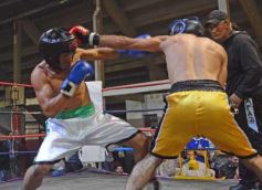 Foto de la galería: Velada de box en el Guaraní: grandes combates