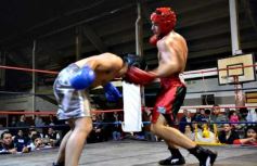 Foto de la galería: Velada de box en el Guaraní: grandes combates