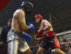 Foto de la galería: Velada de box en el Guaraní: grandes combates