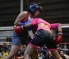 Foto de la galería: Velada de box en el Guaraní: grandes combates