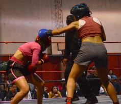 Foto de la galería: Velada de box en el Guaraní: grandes combates