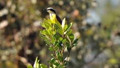 Foto de la galería: Torneo D&O Golf Shop en el Tacurú