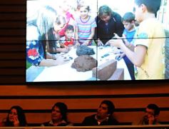 Foto de la galería: Legislatura: impulsan la actividad piscícola en la novena sesión del año