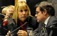 Foto de la galería: Legislatura: impulsan la actividad piscícola en la novena sesión del año