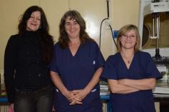 Foto de la galería: De recorrida por la ciudad, derroche de buena onda de la gente