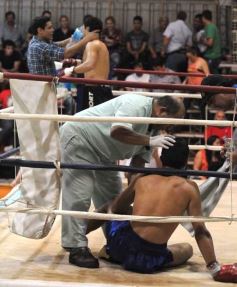 Foto de la galería: Pasado y presente del boxeo se cruzaron en un gran espectáculo