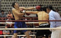 Foto de la galería: Pasado y presente del boxeo se cruzaron en un gran espectáculo
