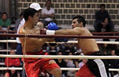Foto de la galería: Pasado y presente del boxeo se cruzaron en un gran espectáculo