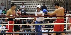 Foto de la galería: Pasado y presente del boxeo se cruzaron en un gran espectáculo