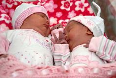 Foto de la galería: Nacieron nuevas amigas en Posadas y con alegría las saludamos