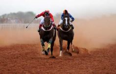 Foto de la galería: Pasión burrera: Cambá Porá se quedó con la Copa Challenger