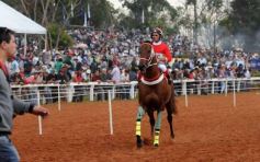 Foto de la galería: Pasión burrera: Cambá Porá se quedó con la Copa Challenger
