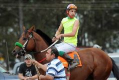 Foto de la galería: Pasión burrera: Cambá Porá se quedó con la Copa Challenger
