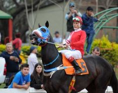 Foto de la galería: Pasión burrera: Cambá Porá se quedó con la Copa Challenger