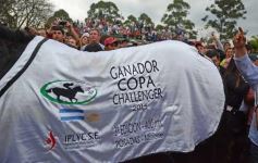 Foto de la galería: Pasión burrera: Cambá Porá se quedó con la Copa Challenger