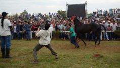 Foto de la galería: Pasión burrera: Cambá Porá se quedó con la Copa Challenger